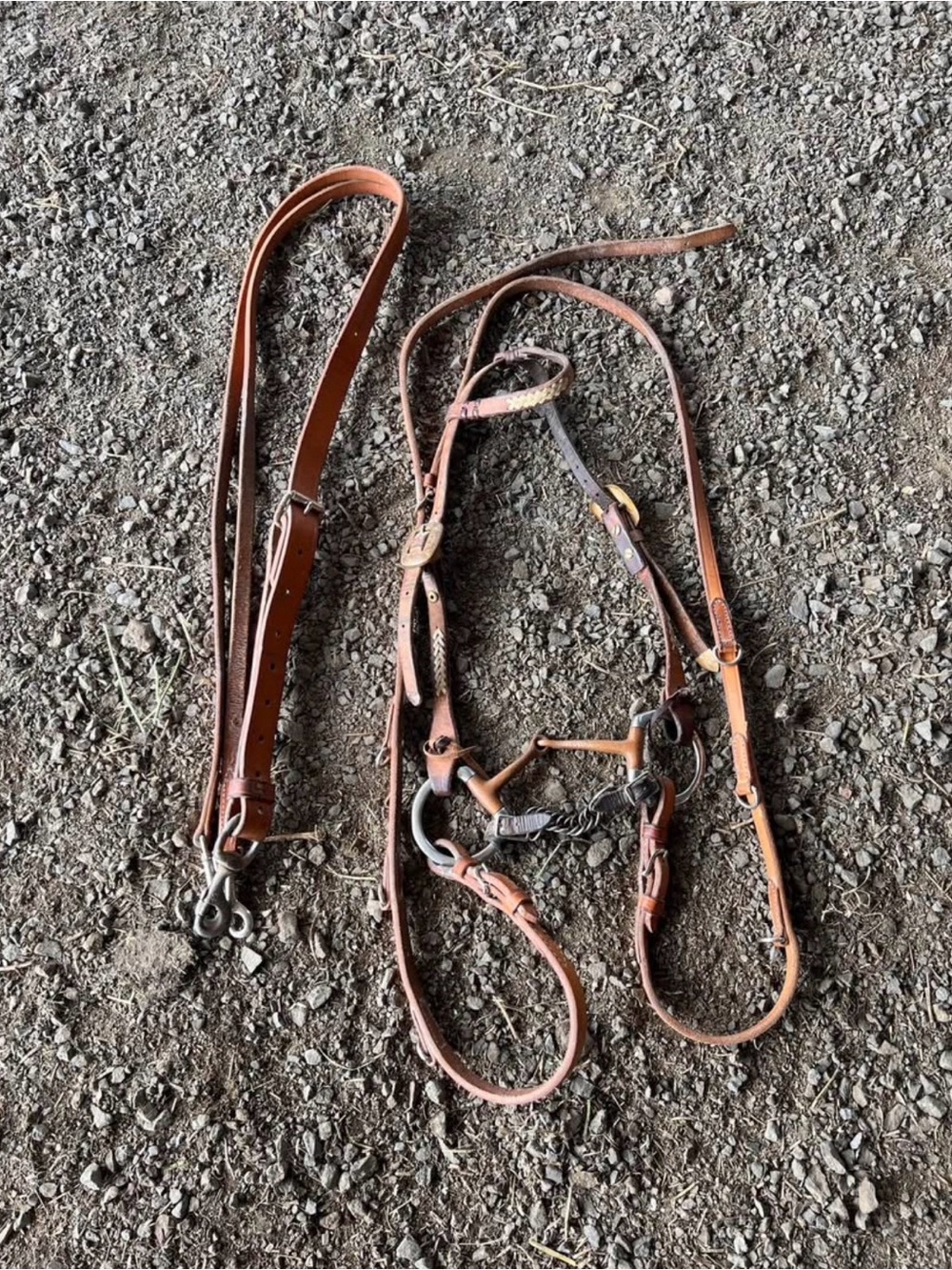 Martingale with Headstall